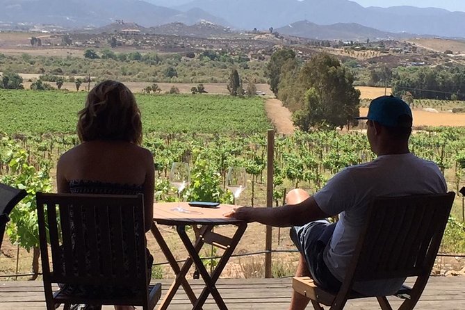Guadalupe Valley Wine Route Tour in Baja California - Wine tastings are extra, and that changes the budget