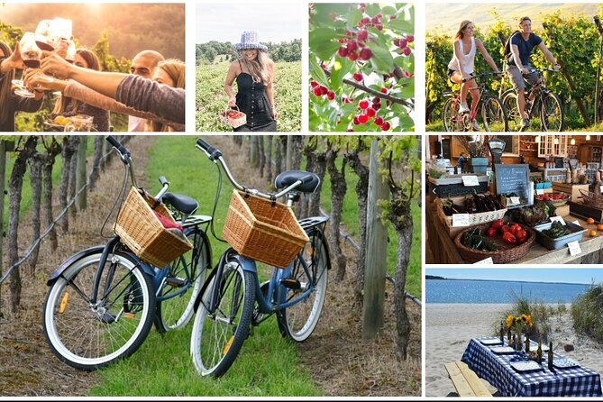 Guided Farm and Wine Country Bike Tour in Mattituck NY - Why this North Fork bike tour works