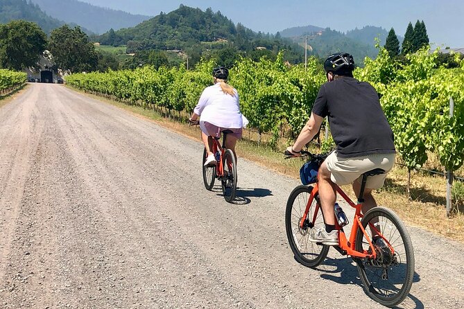 Guided Healdsburg Wine Country Bike and Wine Tasting Tour with lunch - A Five-Hour Ride Through Dry Creek Valley