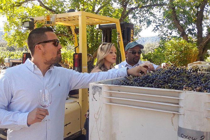 Guided Healdsburg Wine Country Bike and Wine Tasting Tour with lunch - The Third Stop and the Ride Home