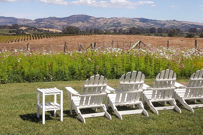 Guided Healdsburg Wine Country Bike and Wine Tasting Tour with lunch - What $209 Buys You