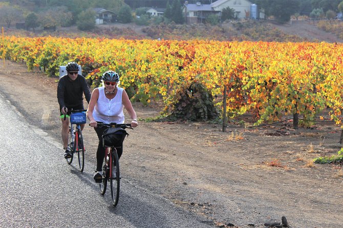 Guided Healdsburg Wine Country Bike and Wine Tasting Tour with lunch - Who Should Book This Healdsburg Bike Tour