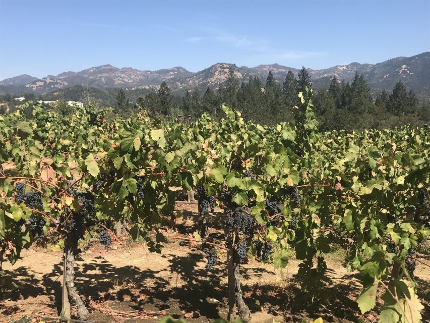 Guided Private Wine Tour to Napa and Sonoma Wine Country - Why a private Napa and Sonoma day works well