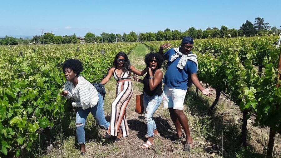Guided Private Wine Tour to Napa and Sonoma Wine Country - How to plan your day with the guide