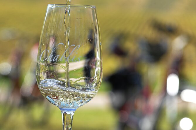 Guided tour of the Chablis Vineyards by e-bike - Key points to know before booking