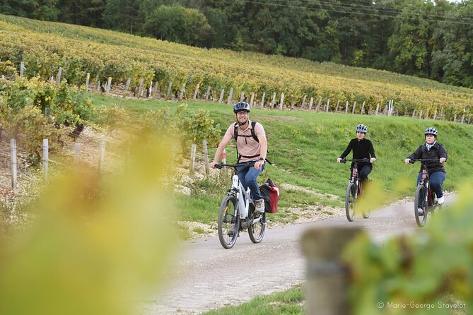 Guided tour of the Chablis Vineyards by e-bike - Understanding Chablis through appellations and plots