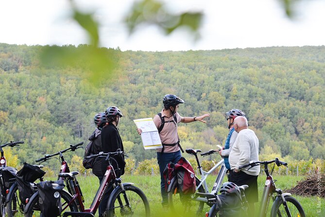 Guided tour of the Chablis Vineyards by e-bike - Inside the wine estate, from vat room to bottle