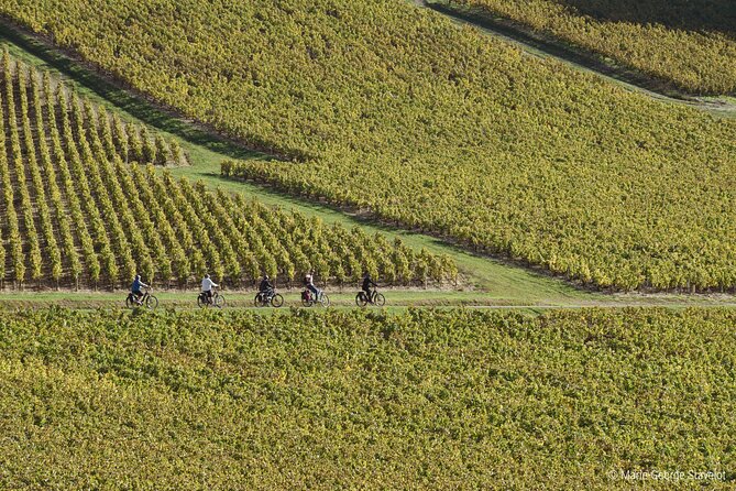Guided tour of the Chablis Vineyards by e-bike - The best fit for families and mixed-ability groups