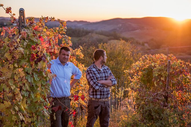 Guided tour of vineyards and winery with tasting 4 wines - Key points to know before booking