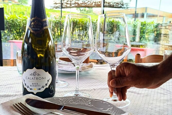 Guided tour of vineyards and winery with tasting 4 wines - Four wines and a useful lesson in tasting