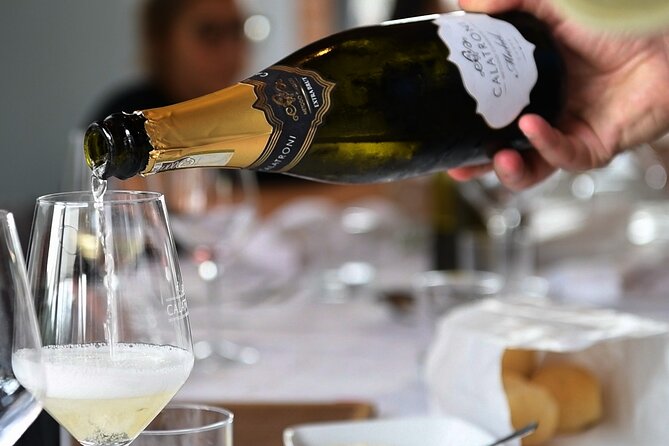 Guided tour of vineyards and winery with tasting 4 wines - The setting, staff, and pace