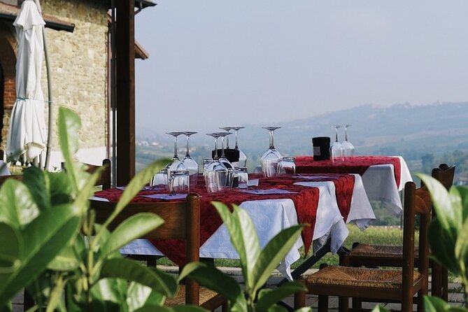 Guided tour of vineyards and winery with tasting 4 wines - How this compares with a winery lunch