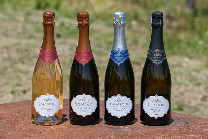 Guided tour of vineyards and winery with tasting 4 wines - Who will enjoy this tour most