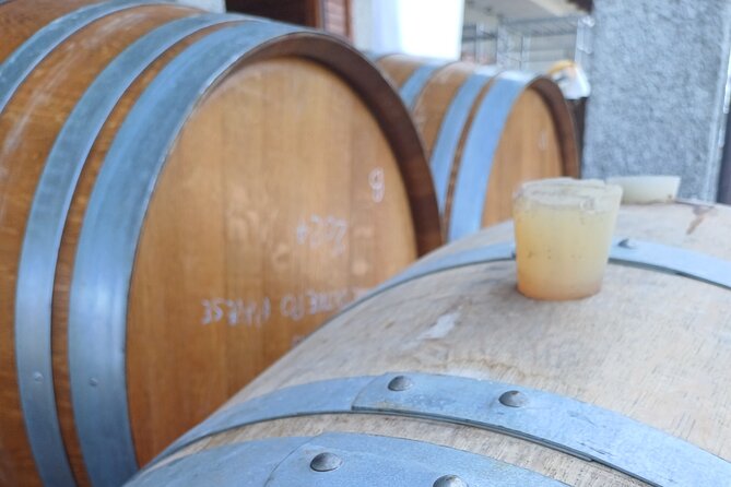 Guided tour of vineyards and winery with tasting 4 wines - Booking details that affect your decision