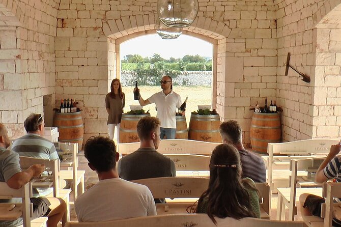 Guided tour through the vineyards with local wine tasting - The tasting table and Apulian snacks