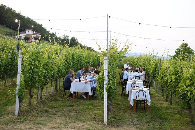 Guided Walk and Lunch in the Vineyard in Alba - Key points at a glance