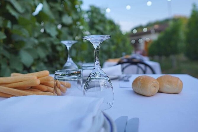 Guided Walk and Lunch in the Vineyard in Alba - Starting at Luigi Drocco’s winery near Alba