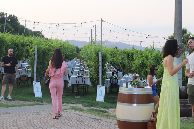 Guided Walk and Lunch in the Vineyard in Alba - The wine allowance and what the $102.21 price buys