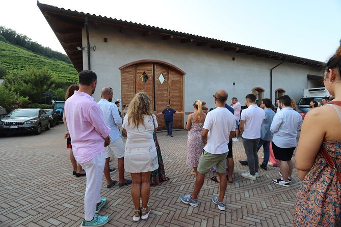Guided Walk and Lunch in the Vineyard in Alba - Who will enjoy this winery day