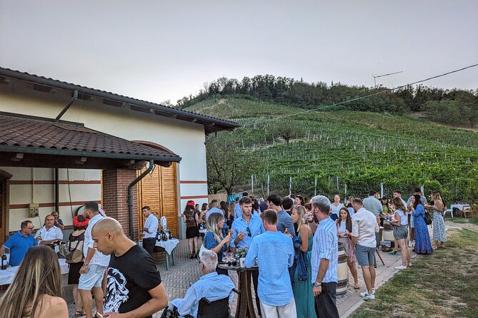 Guided Walk and Lunch in the Vineyard in Alba - Walking 2 kilometers through historic vines