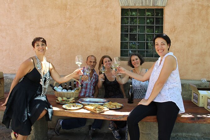 Guided Wine Tasting Experience in a Roman Vineyard - What the $58.71 price buys you