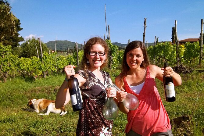 Guided Wine Tasting Experience in a Roman Vineyard - A tasting built around Frascati wines