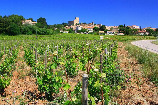 Half Day Great Vineyard Tour from Avignon - What happens during the five hours