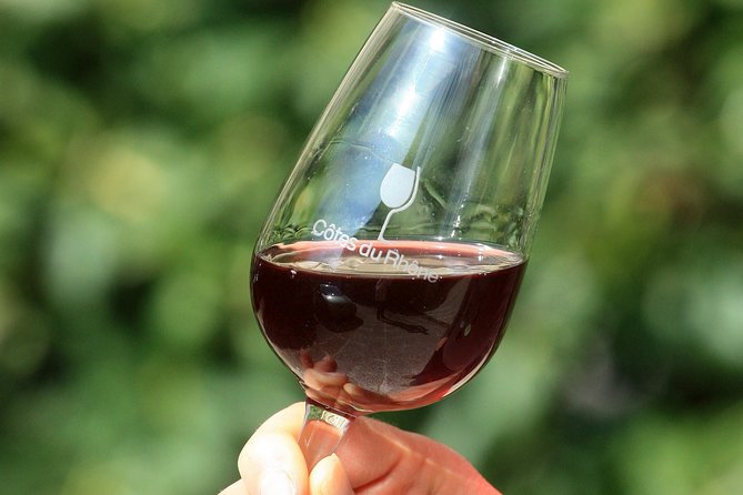 Half Day Great Vineyard Tour from Avignon - The guides are a major part of the value