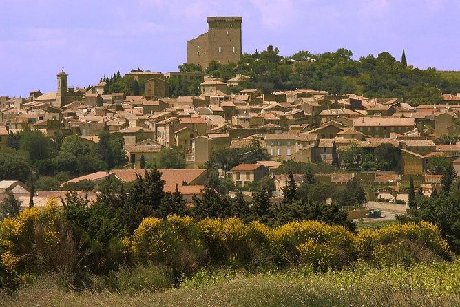 Half Day Great Vineyard Tour from Avignon - What you will taste and learn