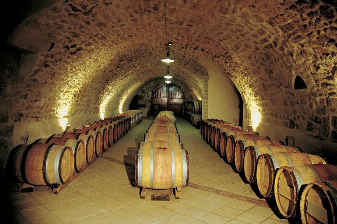 Half Day Great Vineyard Tour from Avignon - Who should book this experience
