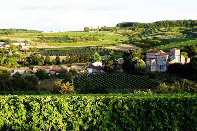 Half-day Guided E-Bike Ride to Discover The Cognac Vineyard - Key points before you book