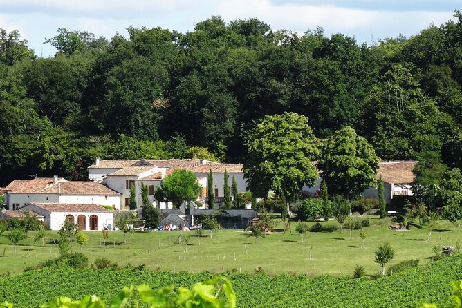 Half-day Guided E-Bike Ride to Discover The Cognac Vineyard - Why an e-bike is the right way to see Cognac country