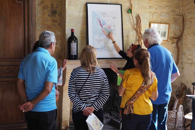 Half-Day Guided Wine Tasting Tour in Bordeaux Vineyards - Two Bordeaux châteaux, one relaxed afternoon