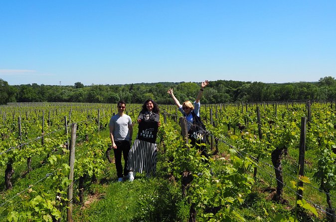 Half-Day Guided Wine Tasting Tour in Bordeaux Vineyards - The important cancellation catch