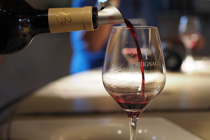 Half-Day Guided Wine Tasting Tour in Bordeaux Vineyards - The drive out from Bordeaux
