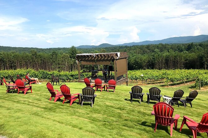 Half-Day North Georgia Wine Country Tour From Atlanta - A social outing more than a formal wine class