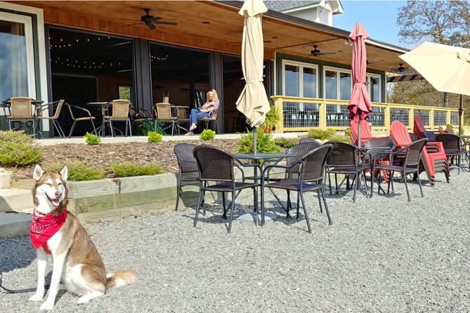 Half-Day North Georgia Wine Country Tour From Atlanta - Is $114.99 a fair price?