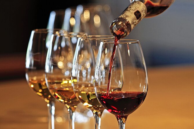 Half-Day North Georgia Wine Country Tour From Atlanta - Ott Farms and Vineyard, with broader mountain views