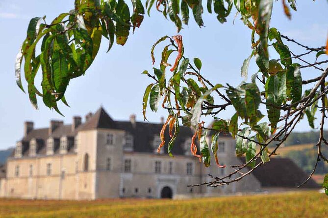 Half Day Tour of the Cote de Nuits Vineyards from Dijon - A Four-and-a-Half-Hour Introduction to Burgundy Wine