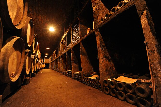 Half Day Tour of the Cote de Nuits Vineyards from Dijon - Tasting Five to Seven Burgundy Wines