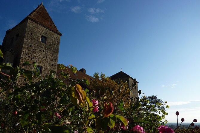 Half Day Tour of the Cote de Nuits Vineyards from Dijon - Booking and Cancellation Details