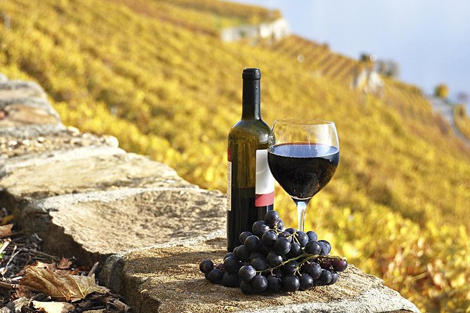 HALF-DAY Tour to Chianti Wine Region: CHIANTI COLORS & FLAVORS - Leaving Florence for Chianti’s Vineyards