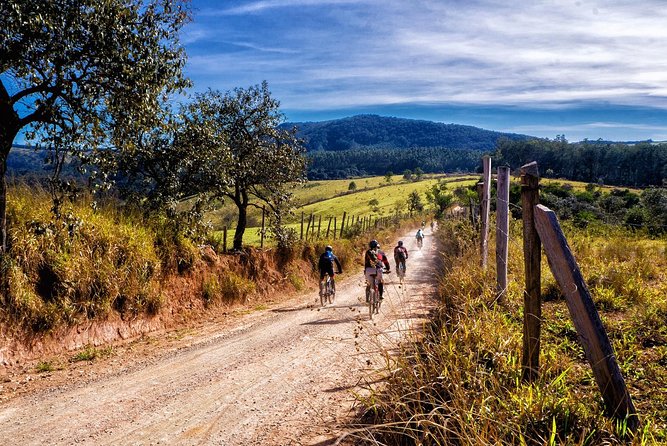 HALF-DAY Tour to Chianti Wine Region: CHIANTI COLORS & FLAVORS - How the Group Size Changes the Experience