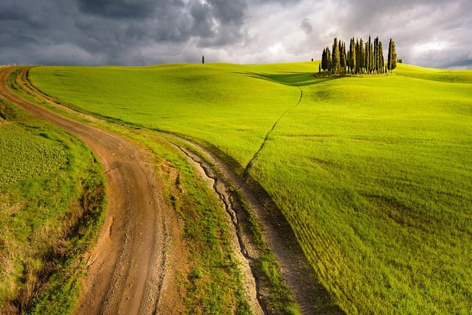 HALF-DAY Tour to Chianti Wine Region: CHIANTI COLORS & FLAVORS - Two Estates, Seven Wines, More Useful Comparisons