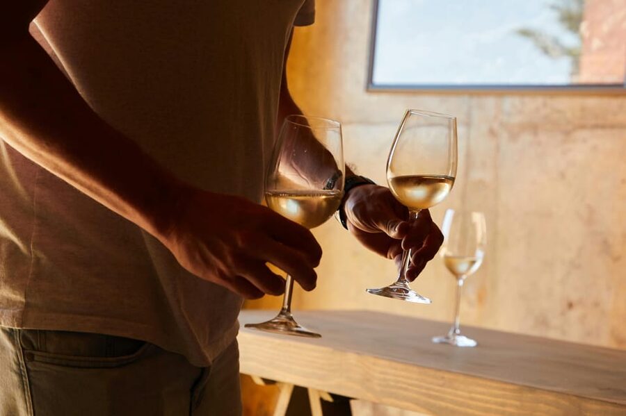 Half-Day Trip from Madrid: Alcalá de Henares & Winery Visit - Walking through Cervantes’s Alcalá