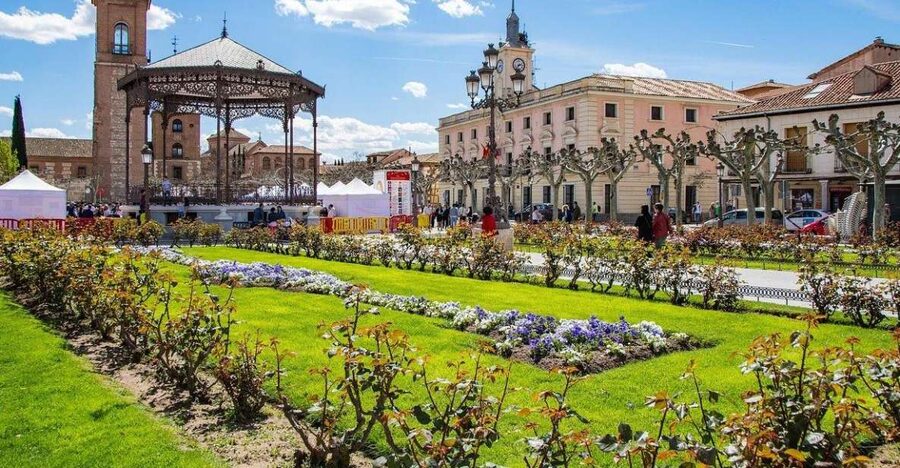 Half-Day Trip from Madrid: Alcalá de Henares & Winery Visit - Should you book the Alcalá and winery tour?