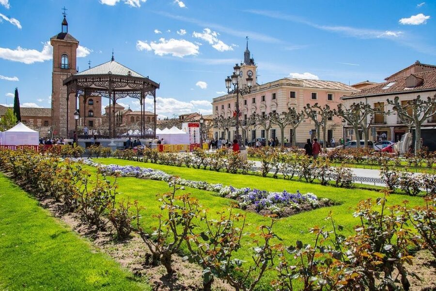 Half-Day Trip from Madrid: Alcalá de Henares & Winery Visit - Leaving Madrid from Pl. de España