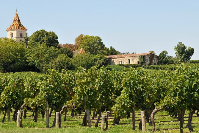 Half-Day Wine tour across Bordeaux’s Vineyards - Inside the château and among the vines