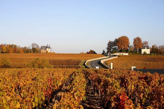 Half-Day Wine tour across Bordeaux’s Vineyards - How the bilingual format affects the afternoon