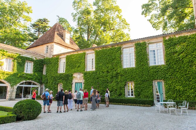 Half-Day Wine tour across Bordeaux’s Vineyards - Scenery, weather, and what to pack